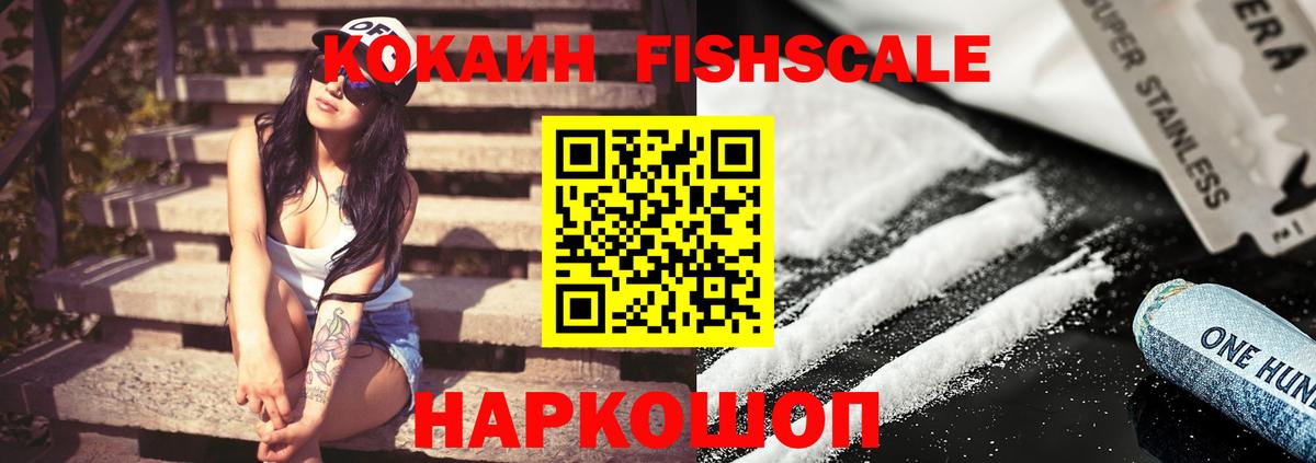 Cocaine Fish Scale  Вход с VPN  Cocaine  COCAIN 97%  Мыски 