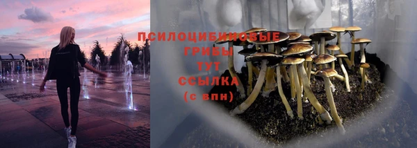 дживик Алзамай