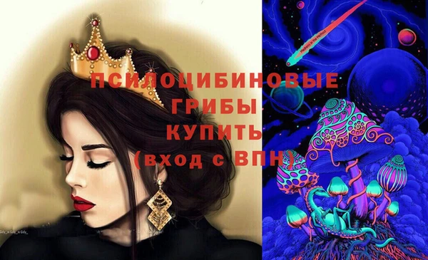 прущие грибы Алексин