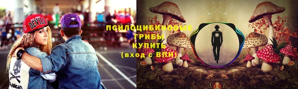 стафф Зерноград