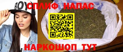 ешки Гай