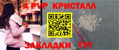 ешки Гай