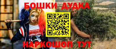ешки Гай
