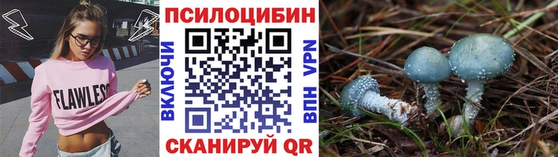 купить наркоту  Мыски  даркнет телеграм  Псилоцибиновые грибы GOLDEN TEACHER 