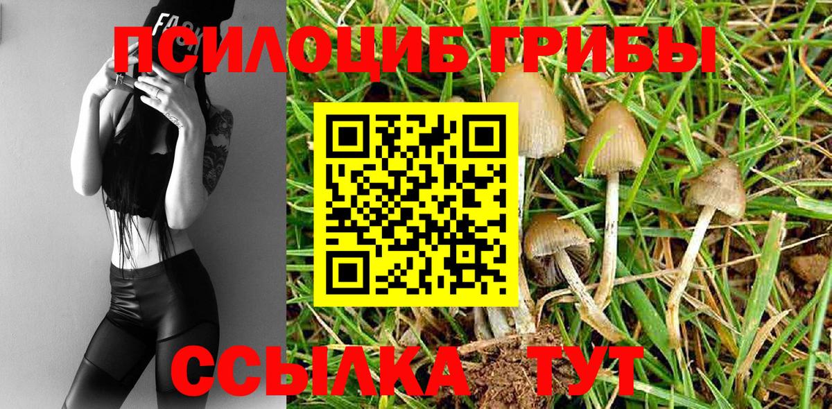 Галлюциногенные грибы Psilocybe  Вход с VPN  где найти наркотики  Мыски 