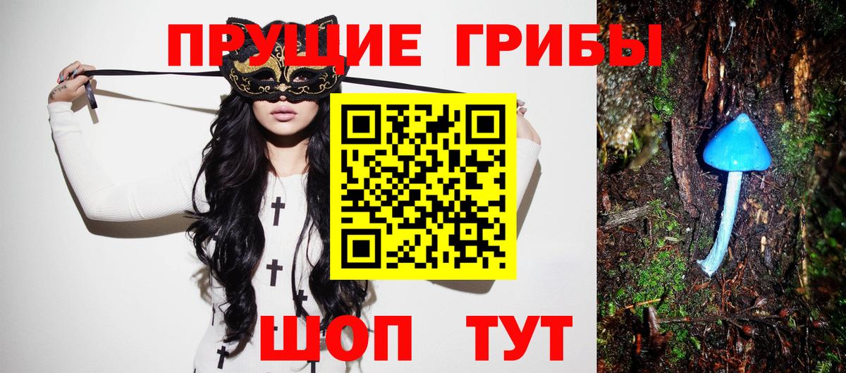 Галлюциногенные грибы Psilocybine cubensis Мыски